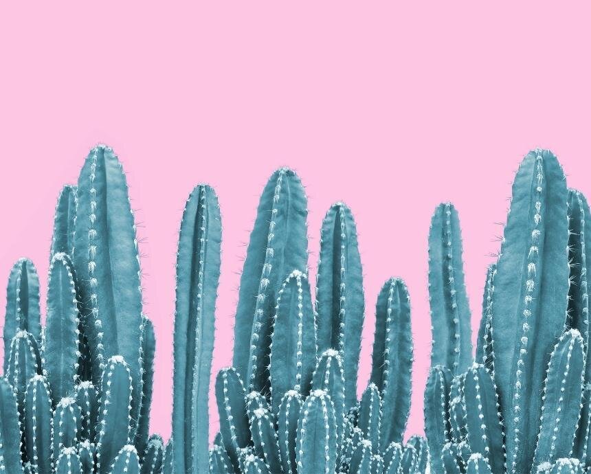 An organic guide to Instagram