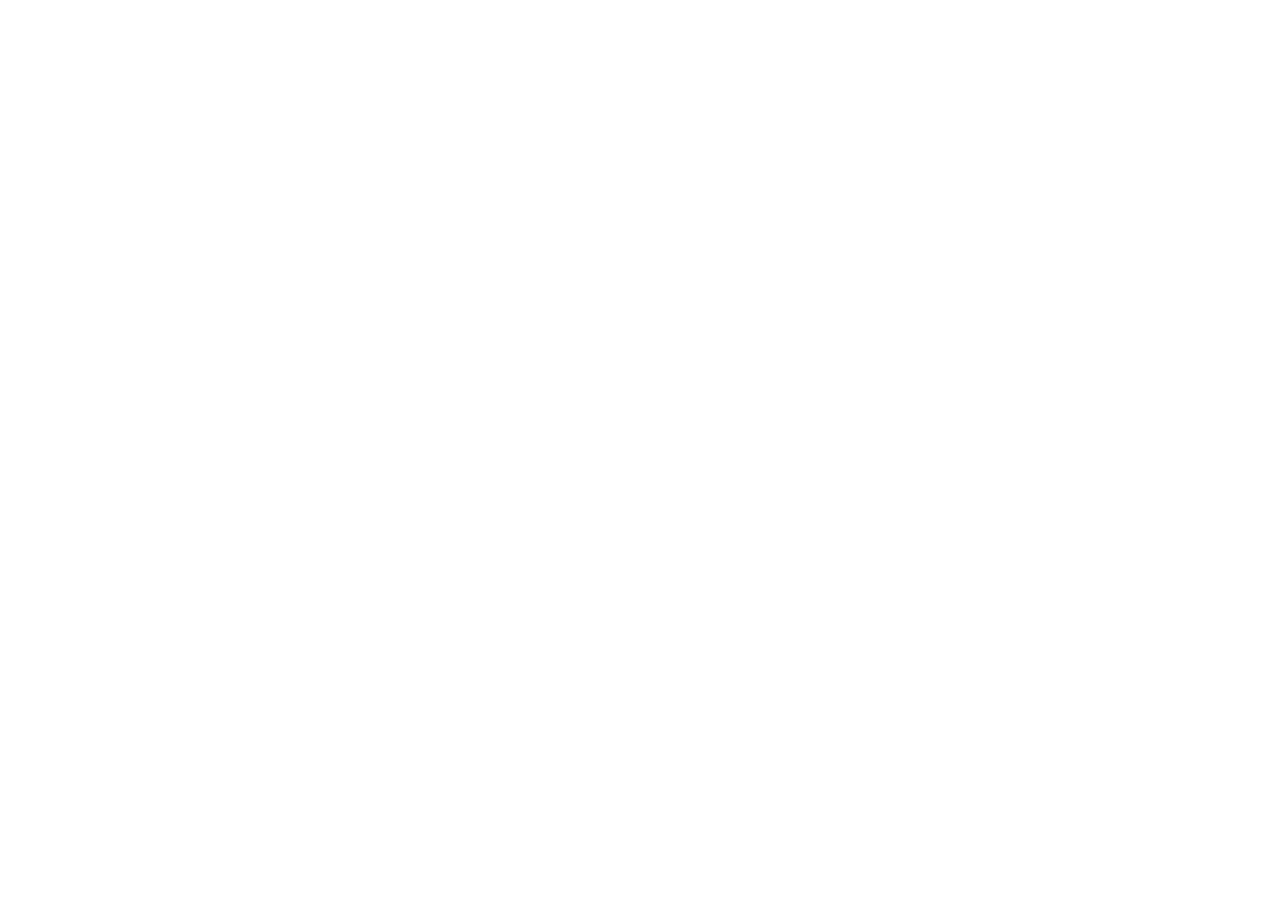 Google Partner
